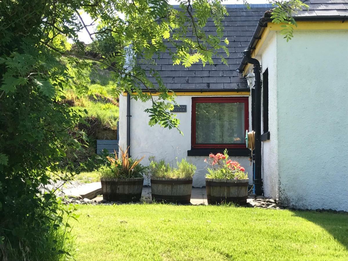 Blossom Cottage Lonmore 外观 照片
